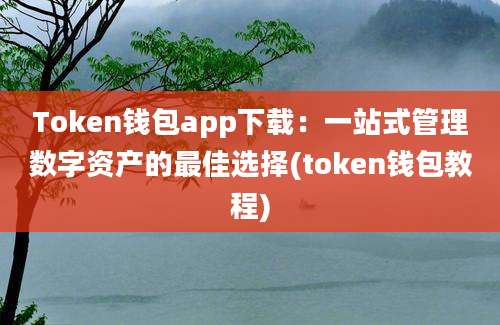 Token钱包app下载：一站式管理数字资产的最佳选择(token钱包教程)