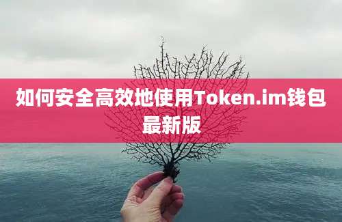 如何安全高效地使用Token.im钱包最新版