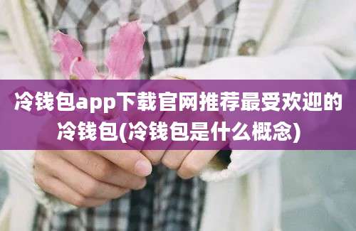 冷钱包app下载官网推荐最受欢迎的冷钱包(冷钱包是什么概念)