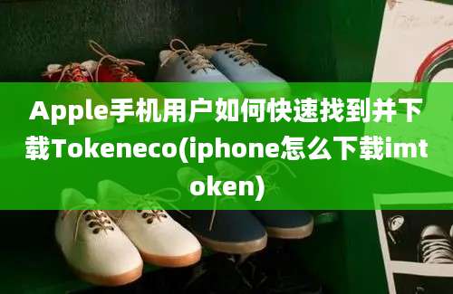 Apple手机用户如何快速找到并下载Tokeneco(iphone怎么下载imtoken)