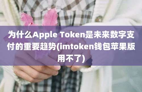 为什么Apple Token是未来数字支付的重要趋势(imtoken钱包苹果版用不了)