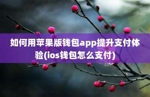 如何用苹果版钱包app提升支付体验(ios钱包怎么支付)