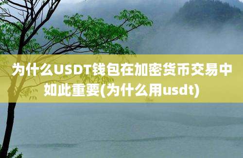 为什么USDT钱包在加密货币交易中如此重要(为什么用usdt)