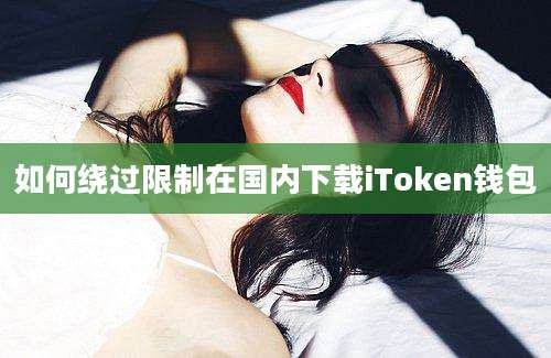 如何绕过限制在国内下载iToken钱包