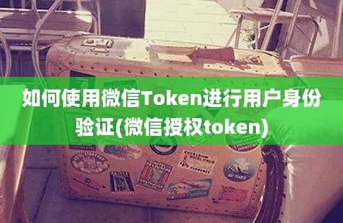 如何使用微信Token进行用户身份验证(微信授权token)