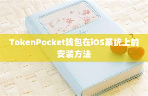 TokenPocket钱包在iOS系统上的安装方法