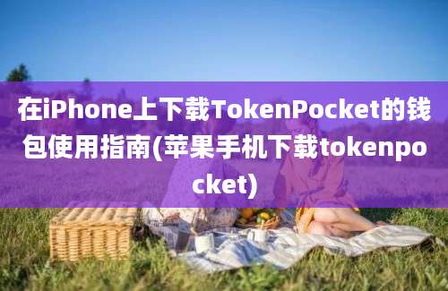 在iPhone上下载TokenPocket的钱包使用指南(苹果手机下载tokenpocket)