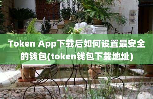 Token App下载后如何设置最安全的钱包(token钱包下载地址)