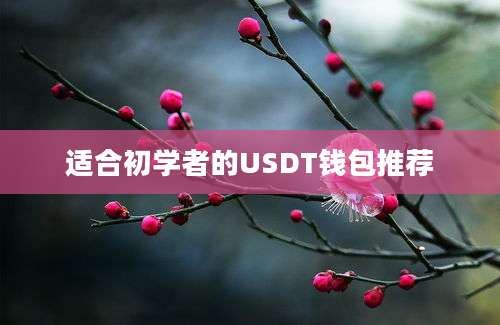 适合初学者的USDT钱包推荐