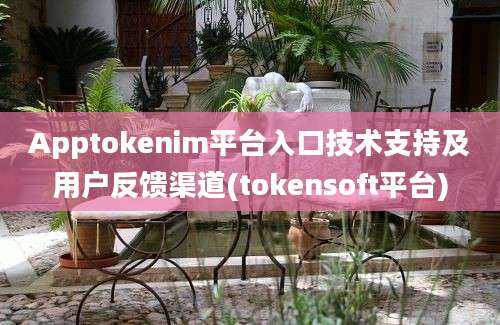 Apptokenim平台入口技术支持及用户反馈渠道(tokensoft平台)