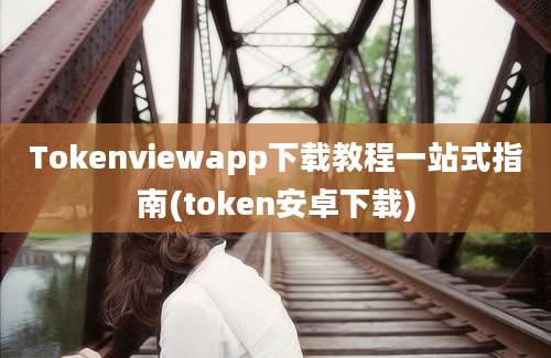 Tokenviewapp下载教程一站式指南(token安卓下载)