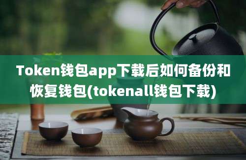 Token钱包app下载后如何备份和恢复钱包(tokenall钱包下载)