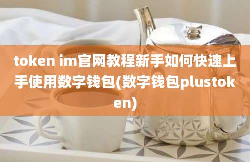 token im官网教程新手如何快速上手使用数字钱包(数字钱包plustoken)