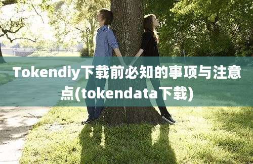 Tokendiy下载前必知的事项与注意点(tokendata下载)