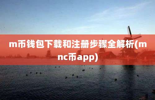 m币钱包下载和注册步骤全解析(mnc币app)