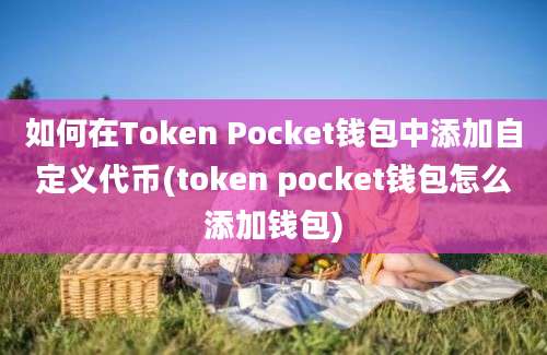 如何在Token Pocket钱包中添加自定义代币(token pocket钱包怎么添加钱包)