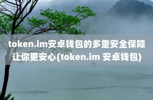 token.im安卓钱包的多重安全保障让你更安心(token.im 安卓钱包)