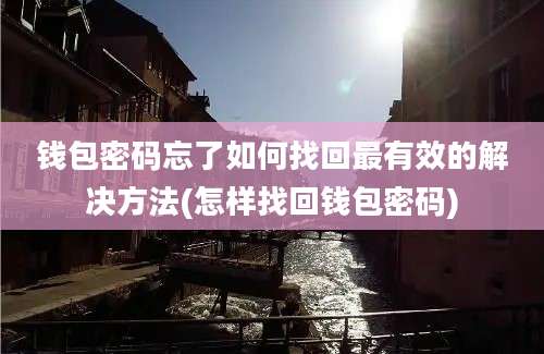 钱包密码忘了如何找回最有效的解决方法(怎样找回钱包密码)