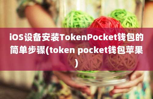 iOS设备安装TokenPocket钱包的简单步骤(token pocket钱包苹果)