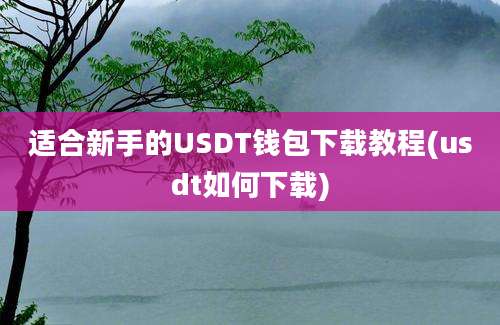 适合新手的USDT钱包下载教程(usdt如何下载)