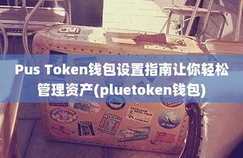 Pus Token钱包设置指南让你轻松管理资产(pluetoken钱包)