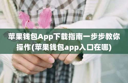 苹果钱包App下载指南一步步教你操作(苹果钱包app入口在哪)