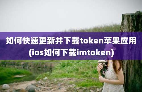 如何快速更新并下载token苹果应用(ios如何下载imtoken)