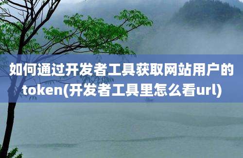 如何通过开发者工具获取网站用户的token(开发者工具里怎么看url)