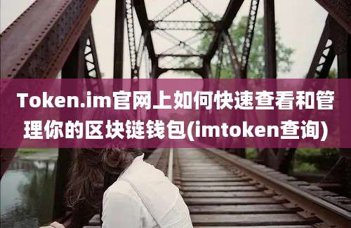 Token.im官网上如何快速查看和管理你的区块链钱包(imtoken查询)