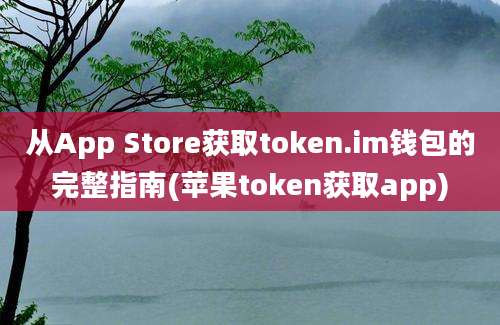 从App Store获取token.im钱包的完整指南(苹果token获取app)