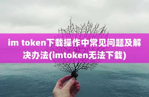 im token下载操作中常见问题及解决办法(imtoken无法下载)