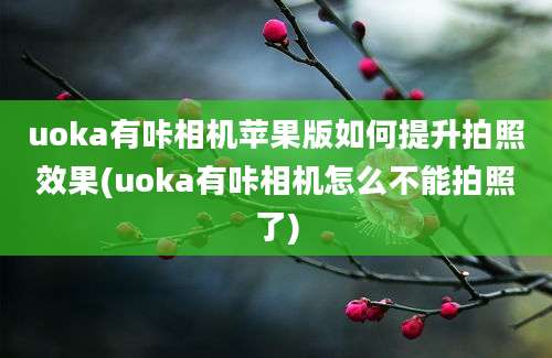 uoka有咔相机苹果版如何提升拍照效果(uoka有咔相机怎么不能拍照了)