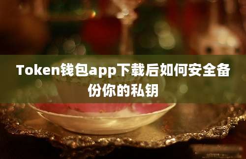 Token钱包app下载后如何安全备份你的私钥