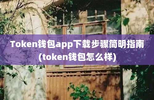 Token钱包app下载步骤简明指南(token钱包怎么样)