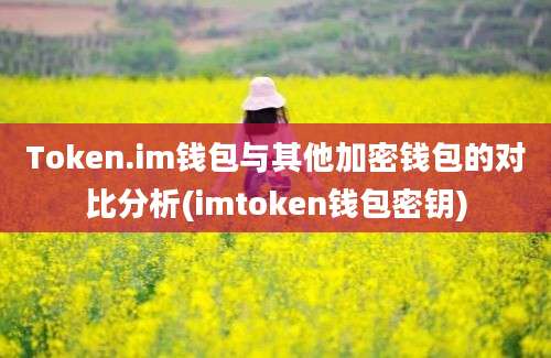 Token.im钱包与其他加密钱包的对比分析(imtoken钱包密钥)