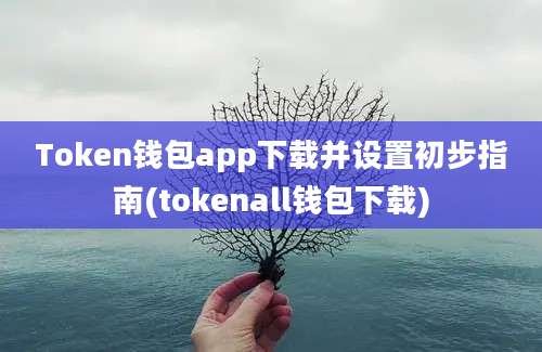 Token钱包app下载并设置初步指南(tokenall钱包下载)