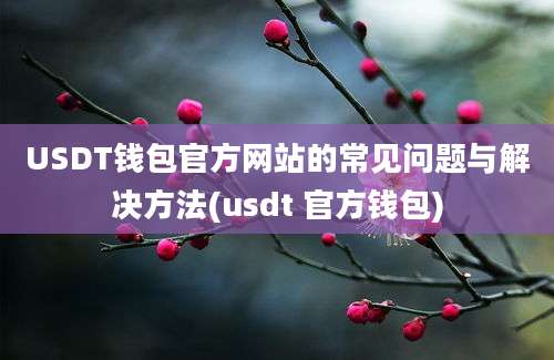 USDT钱包官方网站的常见问题与解决方法(usdt 官方钱包)