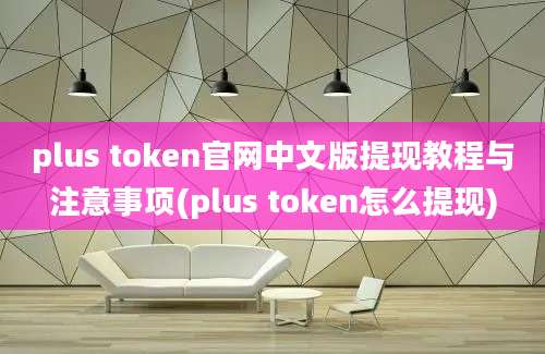 plus token官网中文版提现教程与注意事项(plus token怎么提现)