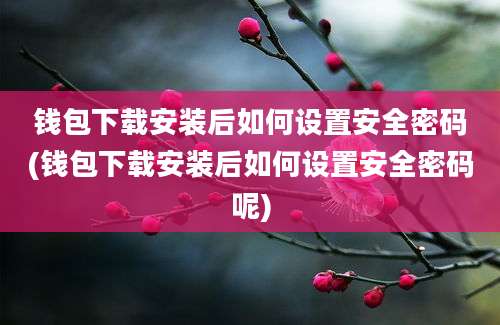 钱包下载安装后如何设置安全密码(钱包下载安装后如何设置安全密码呢)