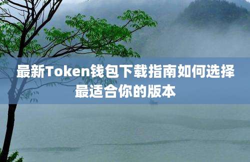 最新Token钱包下载指南如何选择最适合你的版本