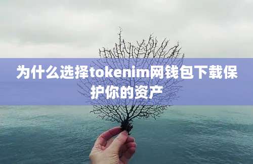 为什么选择tokenim网钱包下载保护你的资产