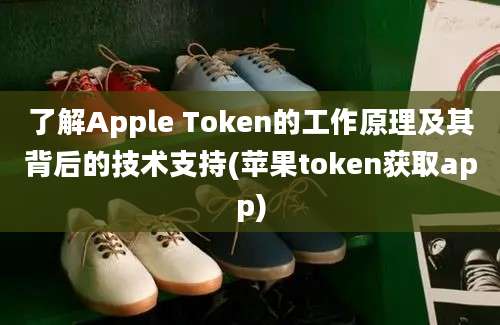 了解Apple Token的工作原理及其背后的技术支持(苹果token获取app)