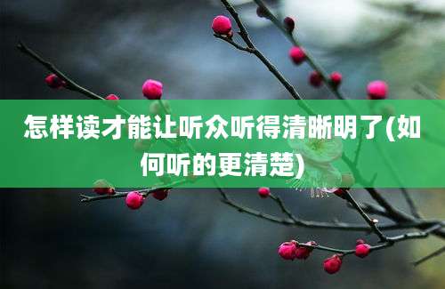 怎样读才能让听众听得清晰明了(如何听的更清楚)