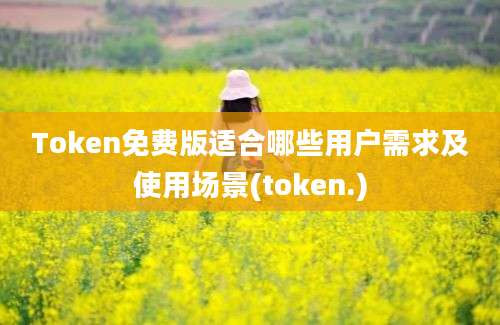 Token免费版适合哪些用户需求及使用场景(token.)