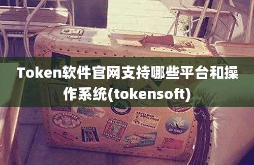 Token软件官网支持哪些平台和操作系统(tokensoft)