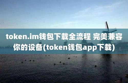 token.im钱包下载全流程 完美兼容你的设备(token钱包app下载)