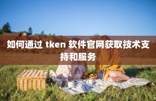 如何通过 tken 软件官网获取技术支持和服务