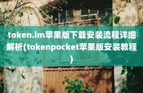 token.im苹果版下载安装流程详细解析(tokenpocket苹果版安装教程)