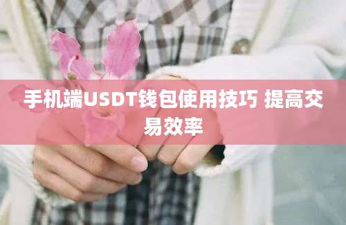 手机端USDT钱包使用技巧 提高交易效率