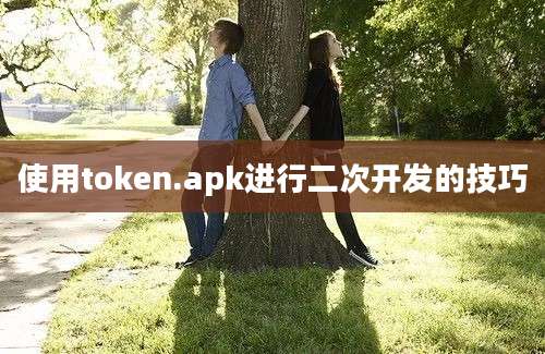 使用token.apk进行二次开发的技巧